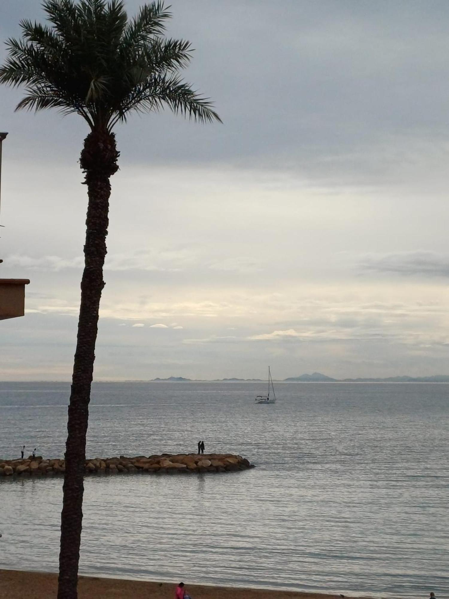 Умные Новые Аппартаменты В Торревьехе Torrevieja Eksteriør bilde